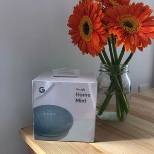Brand New Google Home Mini